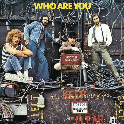 Виниловая пластинка The Who - Who Are You (Half Speed) (Black Vinyl LP)