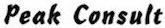Peak Consult