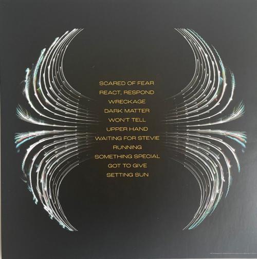 Виниловая пластинка Pearl Jam - Dark Matter (Black Vinyl LP)