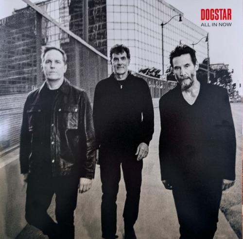 Виниловая пластинка Dogstar - All In Now (Opaque Red Marble Vinyl LP)