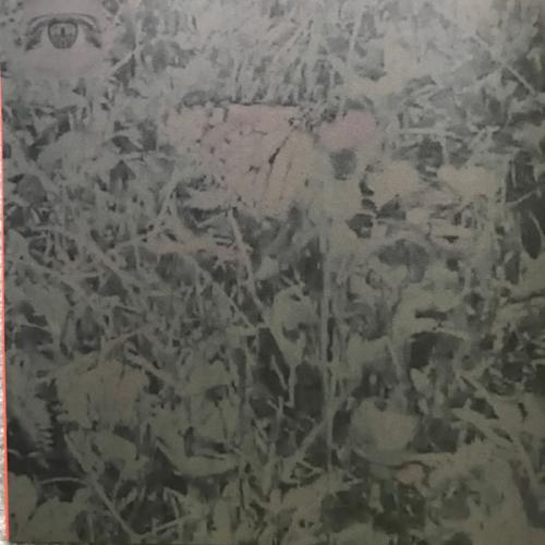 Виниловая пластинка Bon Iver - I,I (Black Vinyl LP)