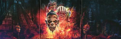 Виниловая пластинка Iron Maiden THE BOOK OF SOULS LIVE