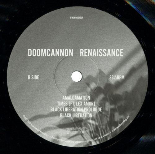 Виниловая пластинка DoomCannon - Renaissance (Black Vinyl LP)