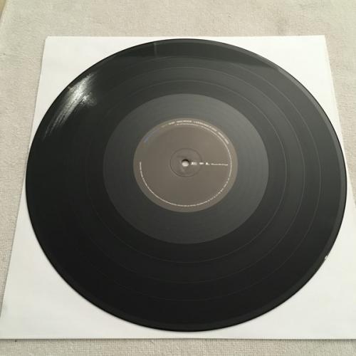 Виниловая пластинка Incubus – S.C.I.E.N.C.E. (2LP)
