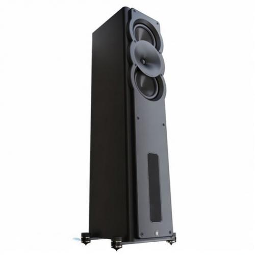 Напольная акустика Perlisten Audio A3t Matte Black