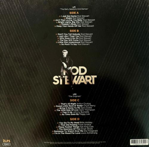 Виниловая пластинка Various Artists - The Many Faces Of Rod Stewart  (Crystal Amber Vinyl 2LP)