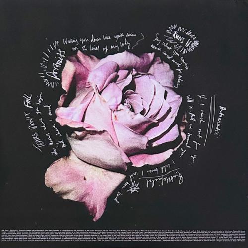 Виниловая пластинка Birdy - Portraits (Black Vinyl LP)