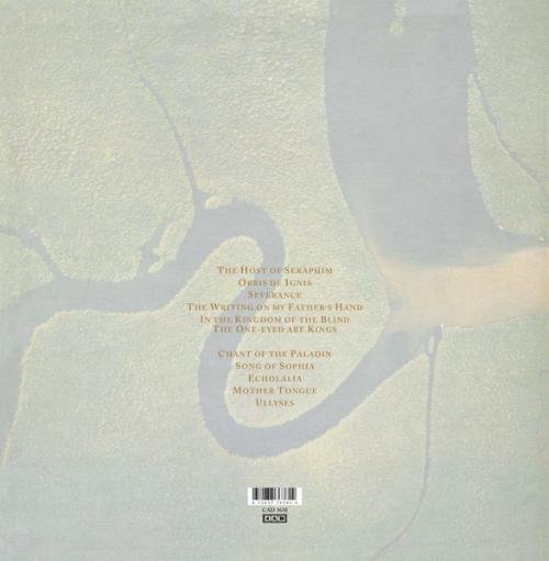 Виниловая пластинка Dead Can Dance - The Serpent's Egg (180 Gram Black Vinyl LP)