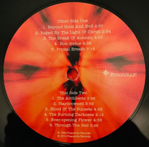 Виниловая пластинка At The Gates - With Fear I Kiss The Burning Darkness (Black Vinyl LP)