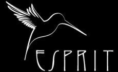 Esprit