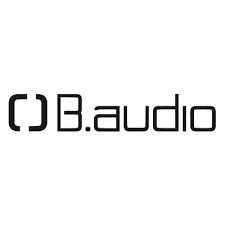 B.Audio